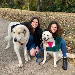 Meet your Posher, Katie